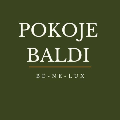Pokoje Baldi Benelux Skoczów Exterior foto
